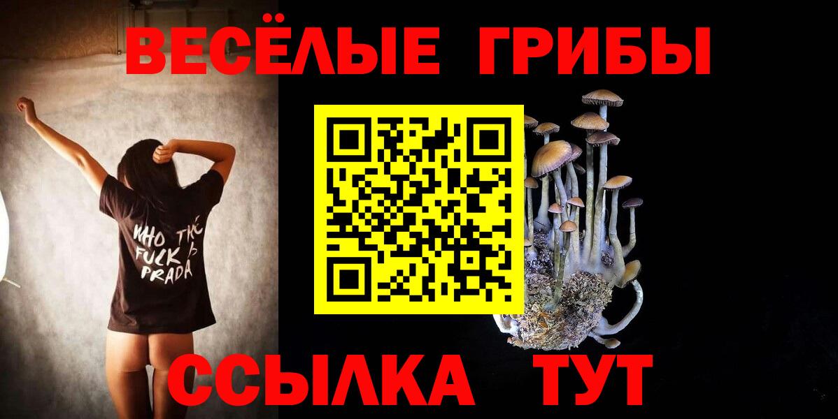 Галлюциногенные грибы MAGIC MUSHROOMS  Вход с VPN  Галлюциногенные грибы Psilocybe  Шатура 