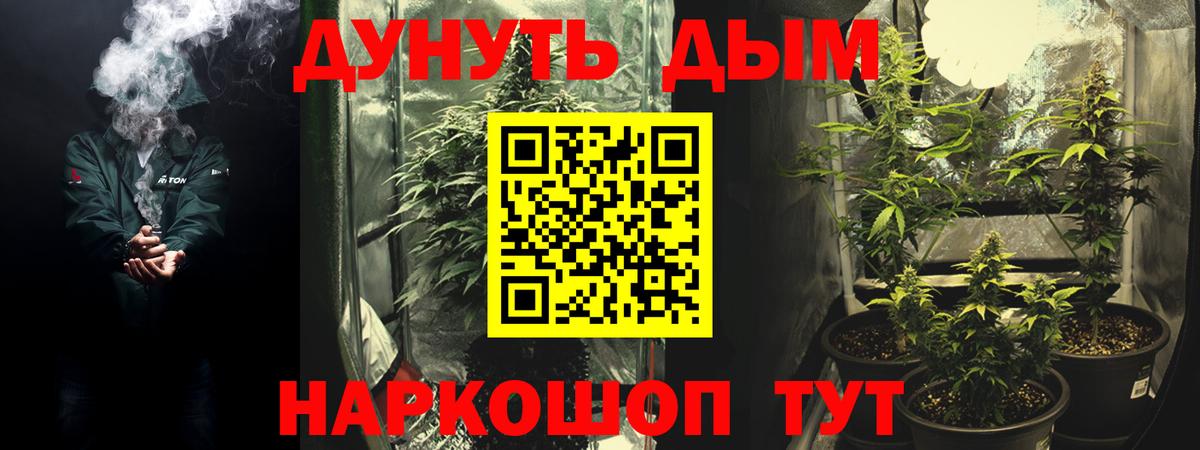 Бошки Шишки сатива  Бошки Шишки марихуана  Вход с VPN  Шатура  Шишки марихуана MAZAR 